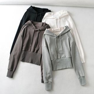 Long Sleeve Plain Crop Sweatshirt