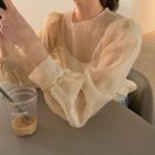 Ruched Sheer Puff Sleeve Blouse