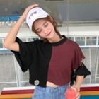 Color Panel Cropped Elbow Sleeve T-shirt