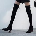 Elastic Genuine Suede Pointed Toe Heel Accent Over-the-knee Boots
