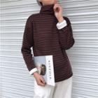 Turtleneck Striped Sweatshirt