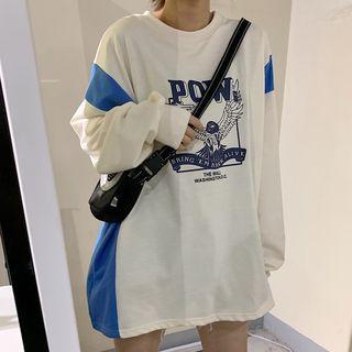 Color-panel Eagle-print Sweatshirt