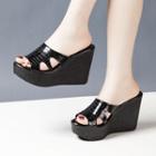 Peep-toe Platform Wedge-heel Sandals Sandals