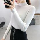 Plain Mock-neck Long-sleeve Knitted Top