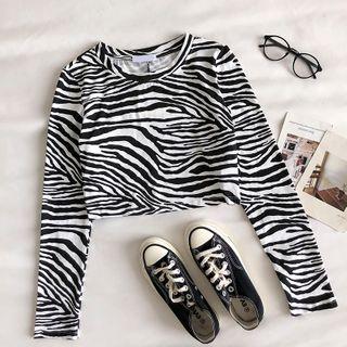 Color-block Crewneck Long-sleeve T-shirt
