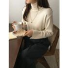 Turtle-neck Slit-cuff Knit Top