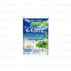 Bathclin - Cool Feeling Refreshed Bath Salt (mint) 600g