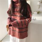 Turtle Neck Stripe Sweater