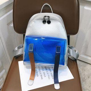 Clear Panel Backpack