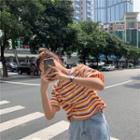 Short-sleeve Striped T-shirt Stripes - Tangerine - One Size