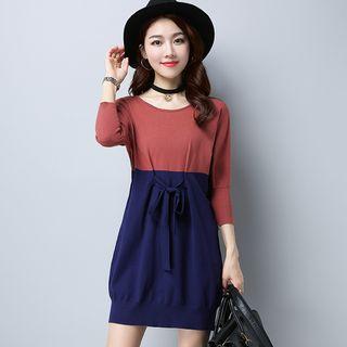 Color Panel Long Sleeve Sweater Dress