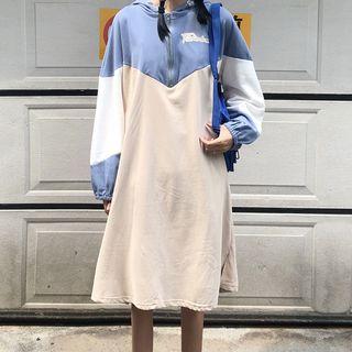 Color Panel Long-sleeve Midi A-line Dress