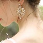 Rhinestone & Bead Earring