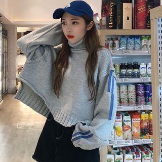 Mock Neck Cropped Knit Top