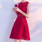 Sleeveless Lace A-line Mini Party Dress
