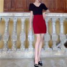 Short-sleeve Knit Top / Mini A-line Skirt