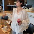 Long-sleeve Striped Sheer Blouse