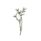 Fashion And Elegant Enamel Green Leaf Freshwater Pearl Brooch Silver - One Size