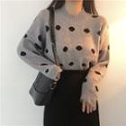 Dotted Sweater / Midi Pencil Skirt