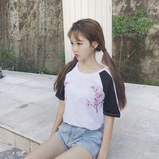 Flower Embroidered Color Panel Raglan Short Sleeve T-shirt