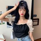 Short-sleeve Lace Panel Top / Dress