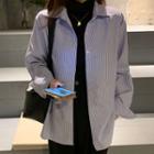 Striped Shirt / Long-sleeve Turtleneck Top