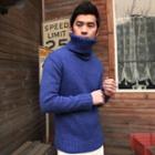 Turtle-neck Wool Blend Knit Top