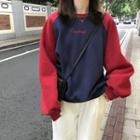 Long Sleeve Color-bock Pullover
