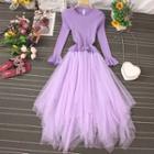 Knit Long-sleeve Panel Mesh Midi A-line Dress