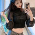 Cropped Mock Neck Mesh Panel Long-sleeve Knit Top