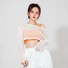 Long-sleeve Mesh Cropped T-shirt
