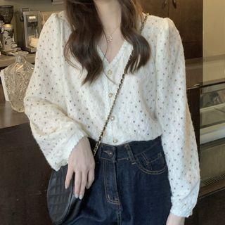 Long-sleeve V-neck Dotted Lace Blouse