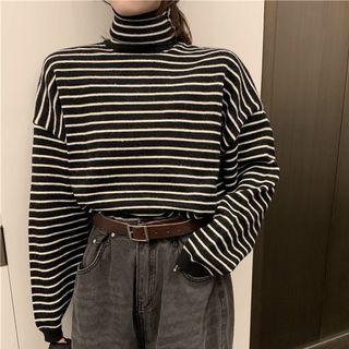 Turtleneck Striped Ribbed Sweater