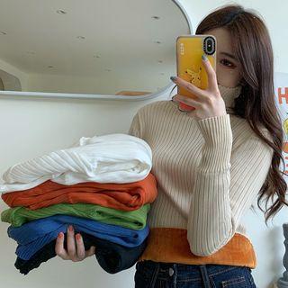 Fleece-lined Turtle-neck Knit Top