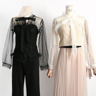 Lace Panel Mesh Blouse