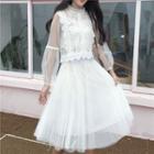 Lace Blouse / Sheer Panel A-line Skirt