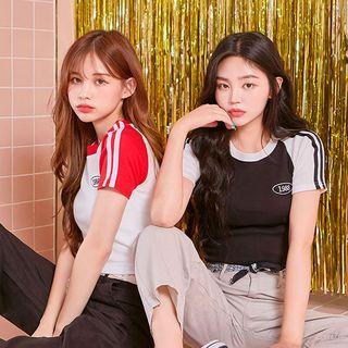 1988 Embroidered Raglan-sleeve Cropped T-shirt