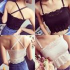 Cropped Lace Panel Camisole