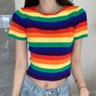 Striped Camisole Top / Short-sleeve Crop T-shirt