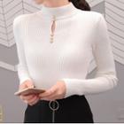 Long-sleeve Semi Turtleneck Perforated Knit Top