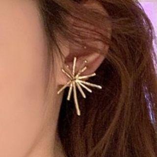 Firework Stainless Steel Earring 1 Pair - Eh47 - Gold - One Size