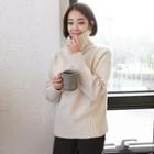 Tall Size Turtle-neck Rib-knit Sweater