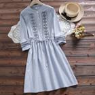 Embroidered Pinstriped Long-sleeve A-line Dress