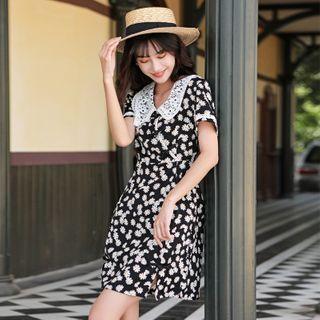 Lace Collar Floral Mini A-line Dress