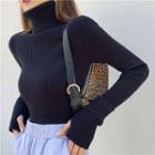 Long-sleeve Turtleneck Slim-fit Sweater