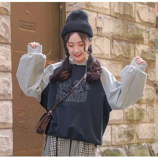 Bear Printed Color Block Hoodie