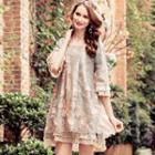 Embroidered Elbow Sleeve Mesh Dress