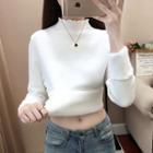 High-neck Long-sleeve Ruffle Trim Plain Fleece Top