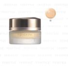 Mentholatum - Episteme Treatment Clear Foundation Spf 28 Pa+++ (#11) 20g