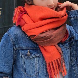 Color Panel Fringed Neck Scarf